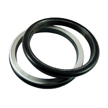 Metallic Seal  SCAB-230-228